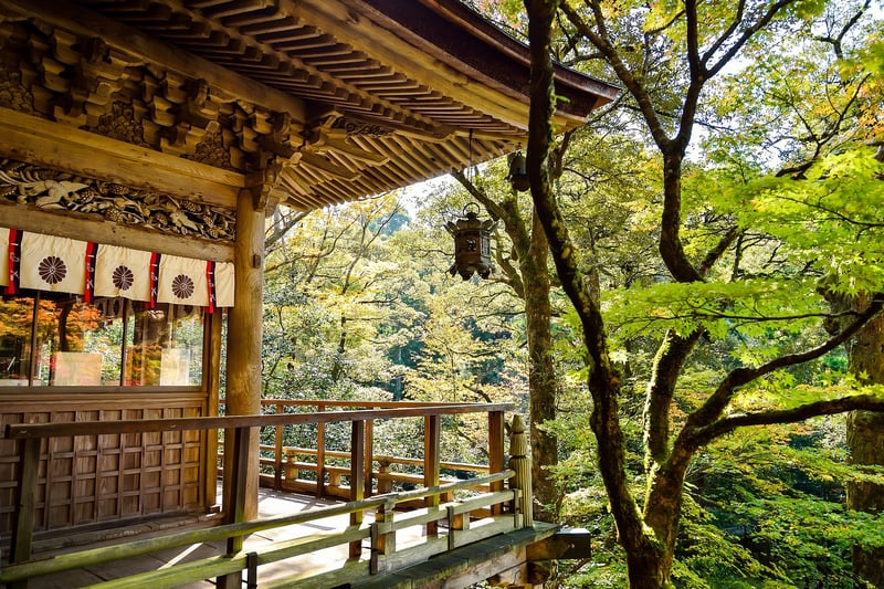 Whimsical Destinations